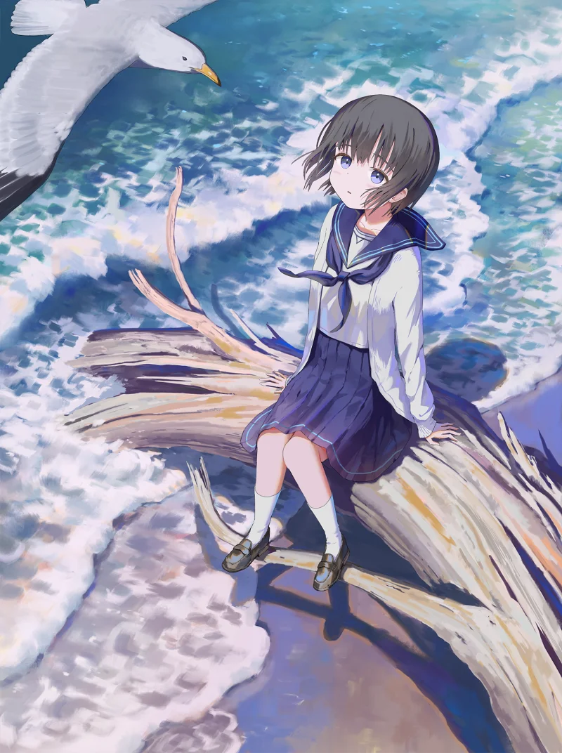 pixiv,二次元,壁纸,绘画,jk少女
