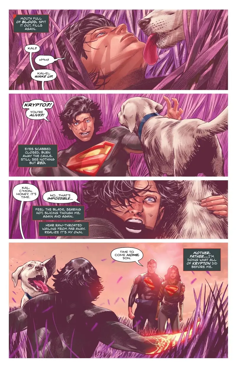 DC,DC漫画,美漫,漫画,动漫,超级英雄,绝对超人,超人,绝对宇宙,ACG