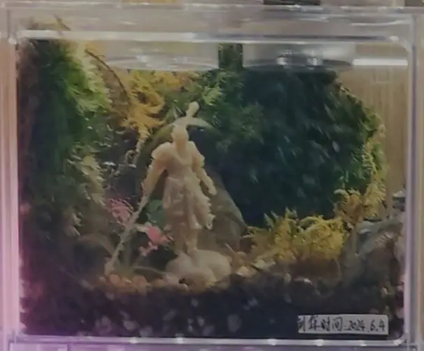书桌桌面美化——生物篇#0