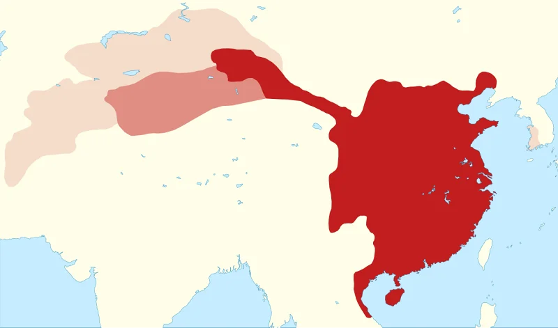 历史,唐朝