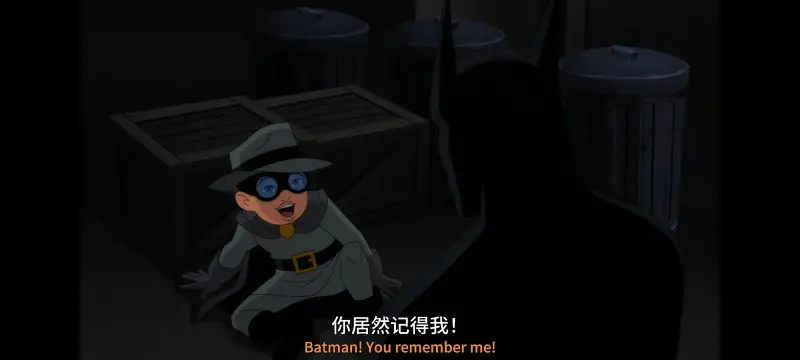 DC,美漫,动画,动漫,超级英雄,蝙蝠侠,蝙蝠侠披风斗士,番剧,ACG