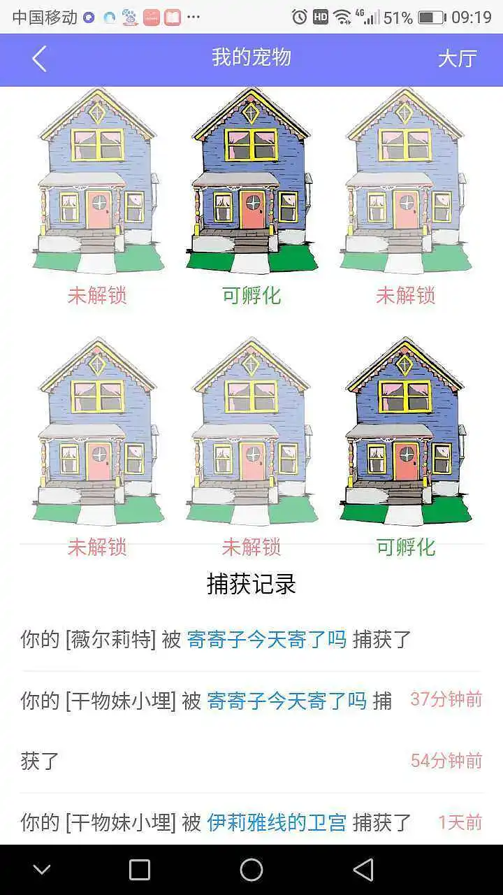 闲聊茶馆,宠物