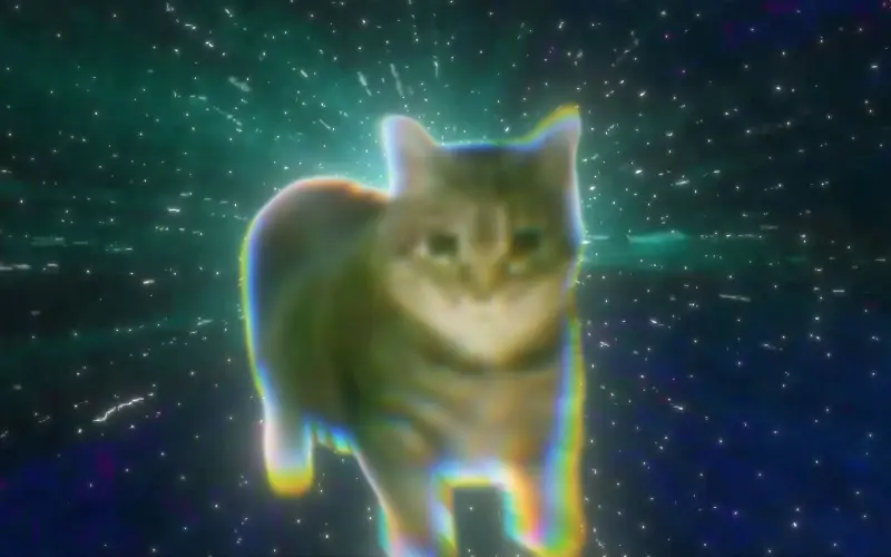 ๏ เ เ ค เ ๏ ๏ ๏ ๏ ๏ เ ค เ