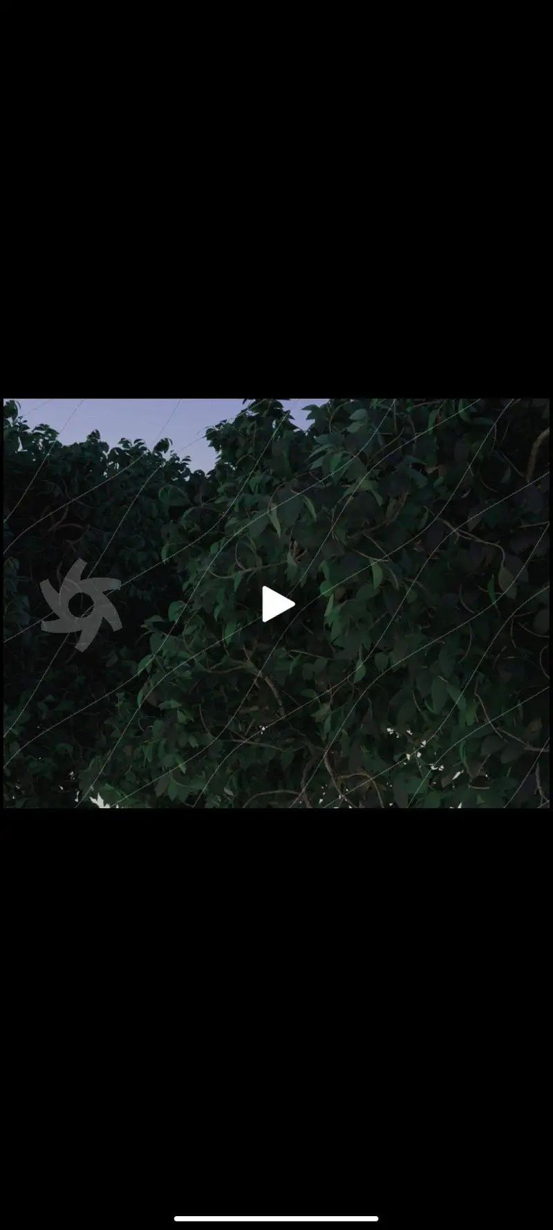 绘画创作,动漫