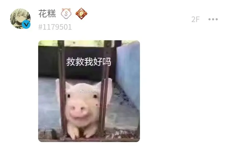 喵御宅史记,喵御宅历史,黑产,咪咪攘攘我们的周年庆