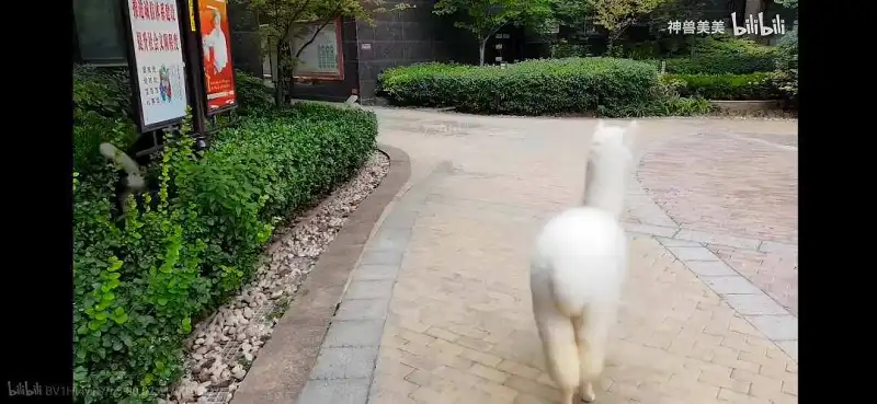 新人报道
