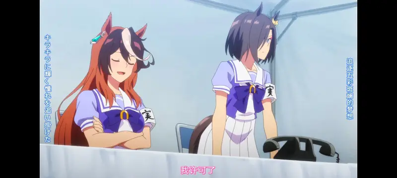 赛马娘,赛马娘PrettyDerby,赛马娘第二季,番剧,动画,动漫,二次元,ACG
