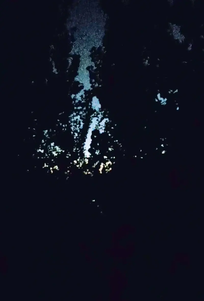 虫儿飞（晚上的风好凉快，也算是来喵站的第一个视频吧）