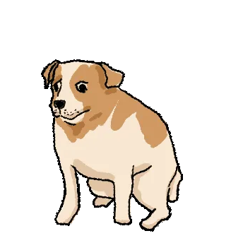 动图,GIF,meme