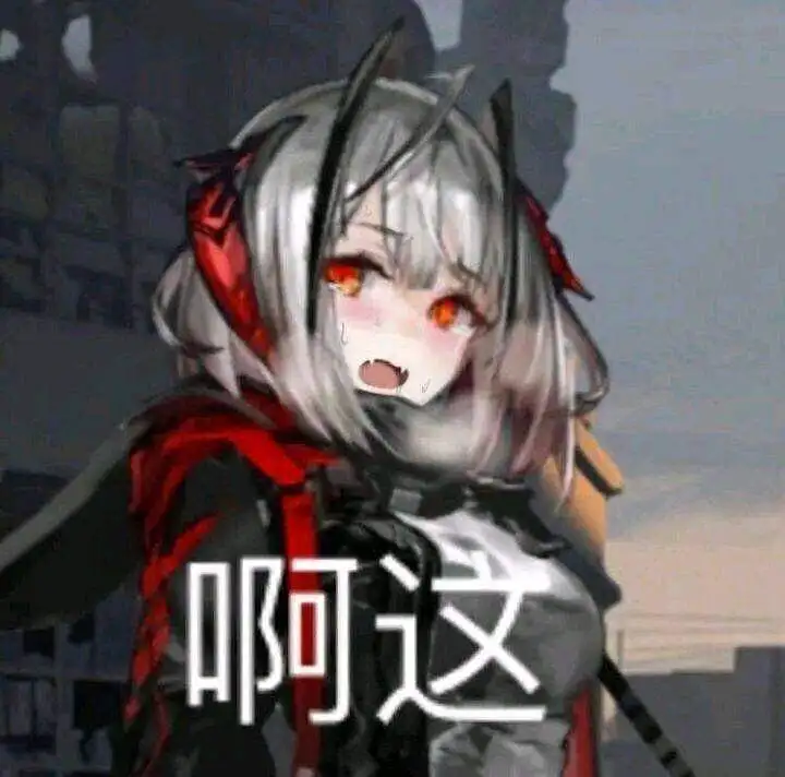 新人报道