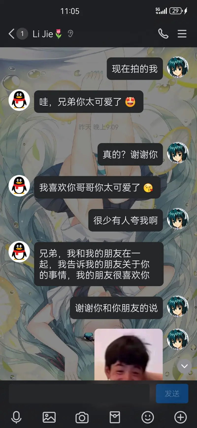 笨蛋,笨蛋笨蛋