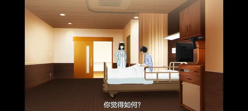 彻夜之歌,动画,动漫,番剧,ACG