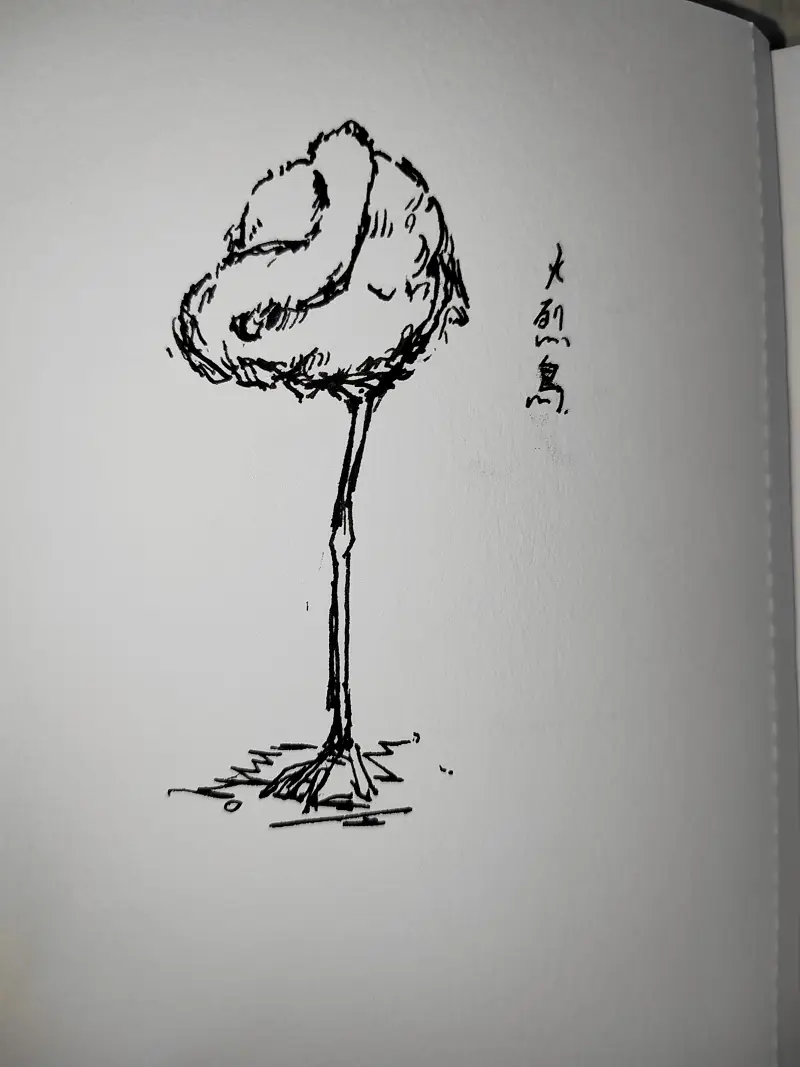 动物,钢笔画,写生