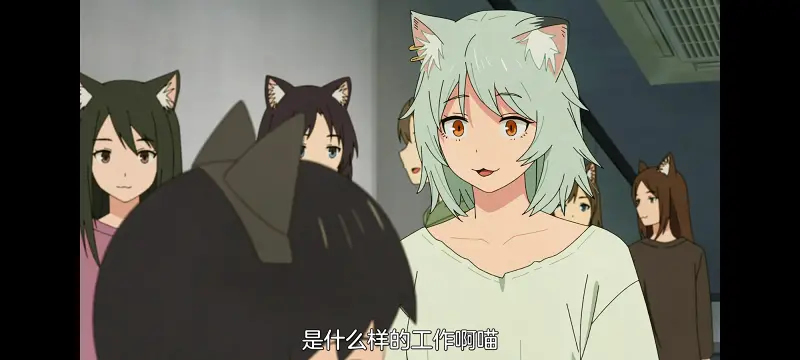 雅尼猫,尼古喵喵,动画,动漫,番剧,日漫,二次元,ACG