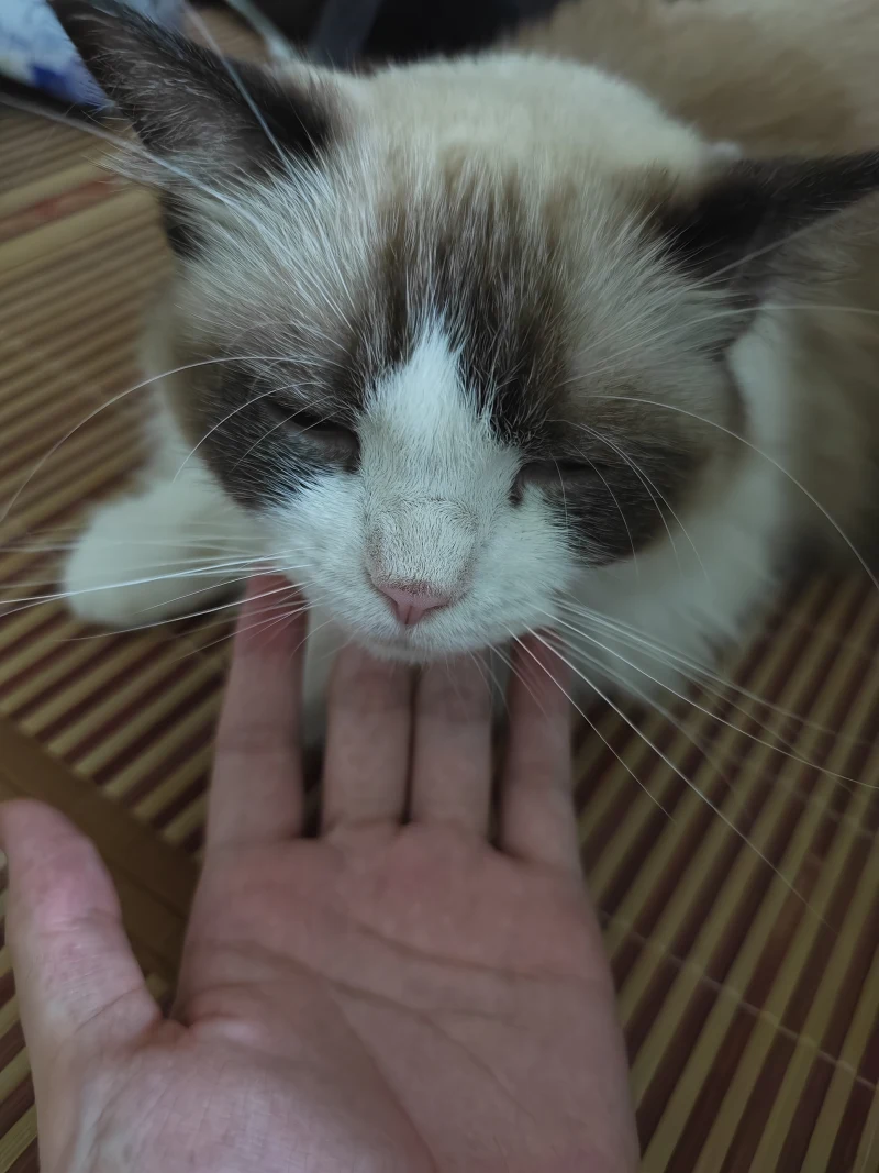 不知梦