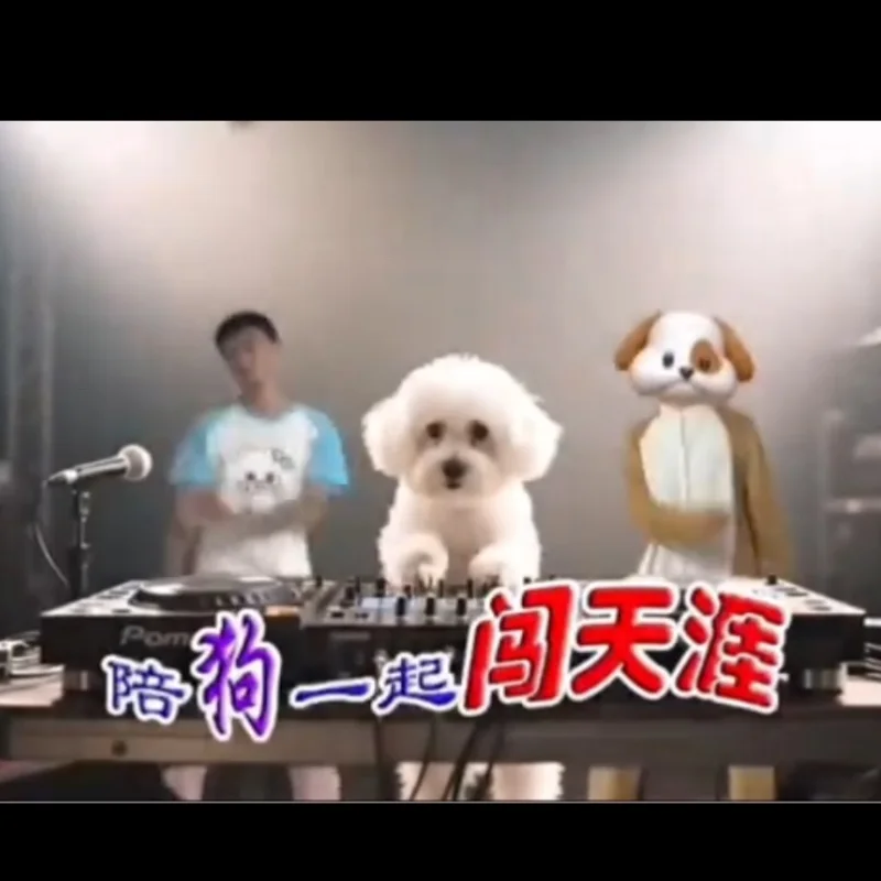 农旭狗狗歌曲～陪狗一起闯天涯
