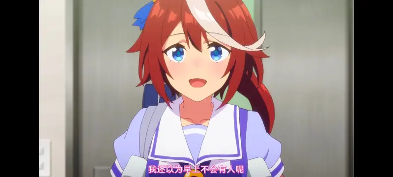 赛马娘,赛马娘PrettyDerby,赛马娘第二季,番剧,动画,动漫,二次元,ACG