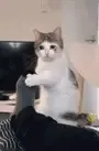 《无标题》