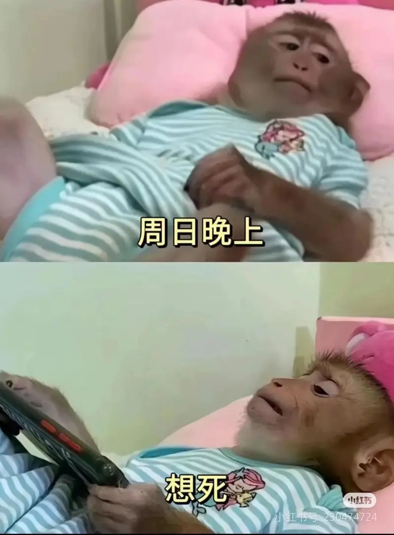打工人