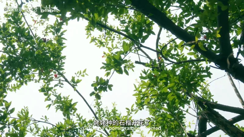 双隐报社,莫愁乡,爆典