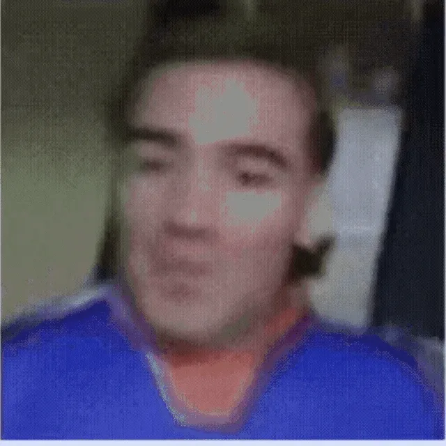 动图,GIF,meme