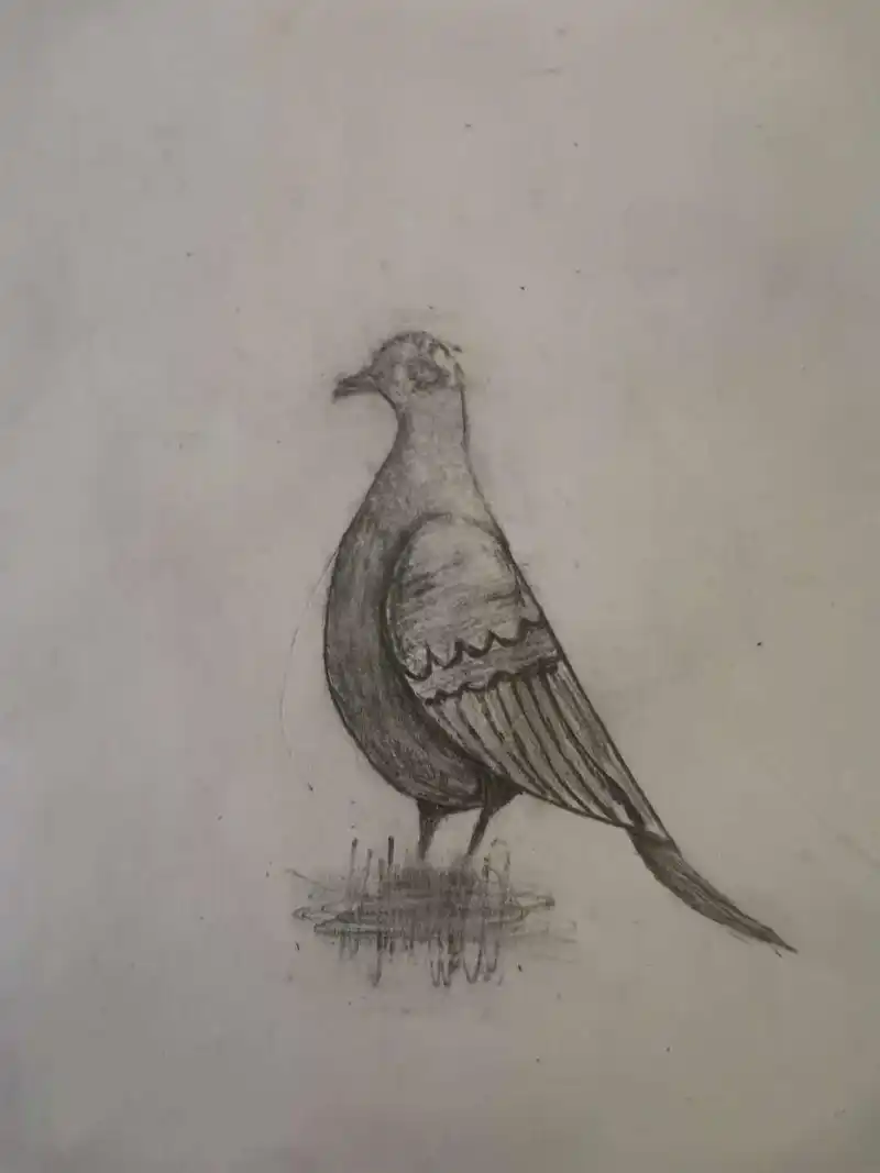 上课无聊画的屑作