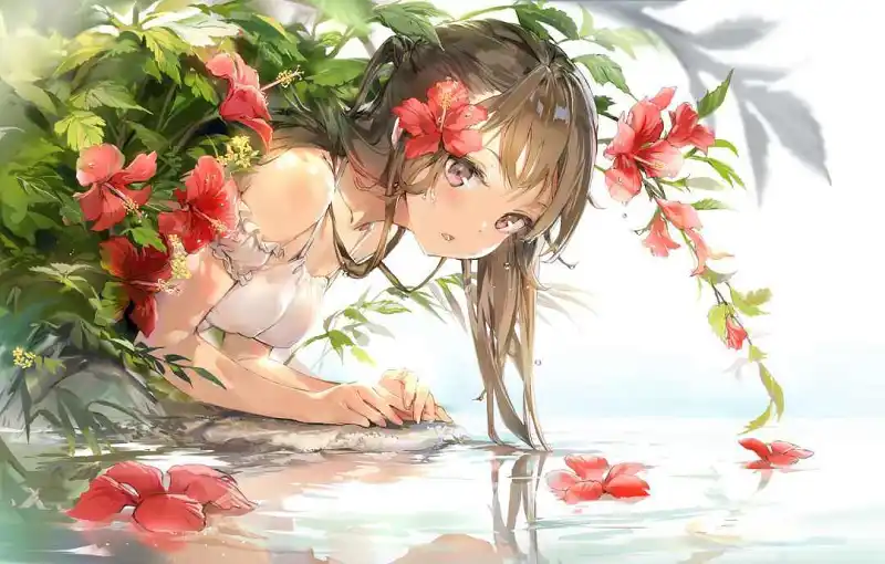 用户交流,动漫