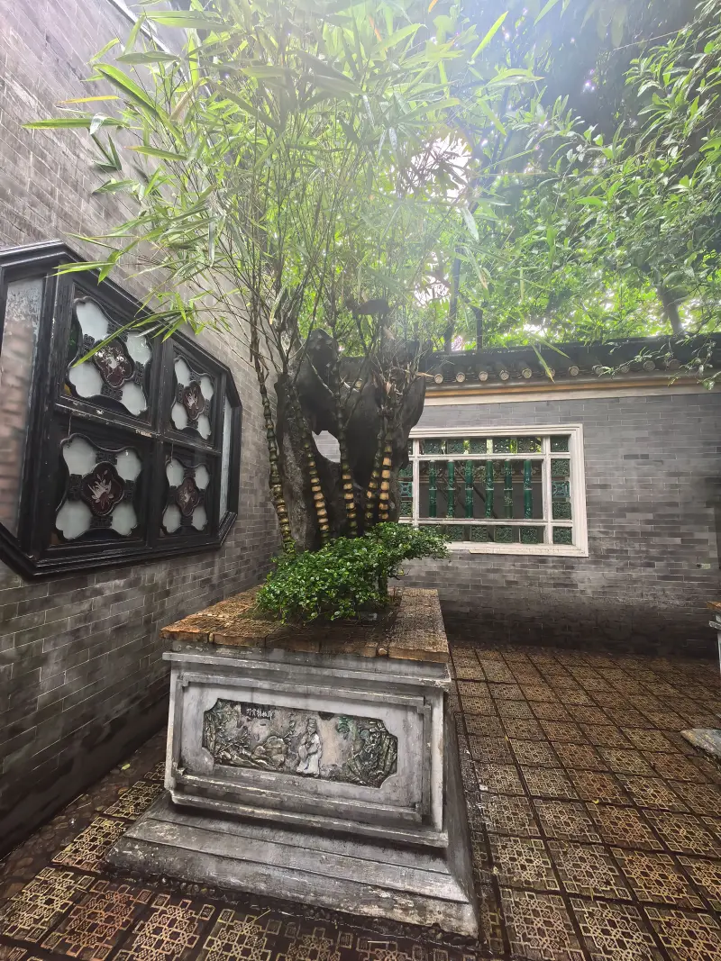 玩,波奇,孤独,开心,简单,生日