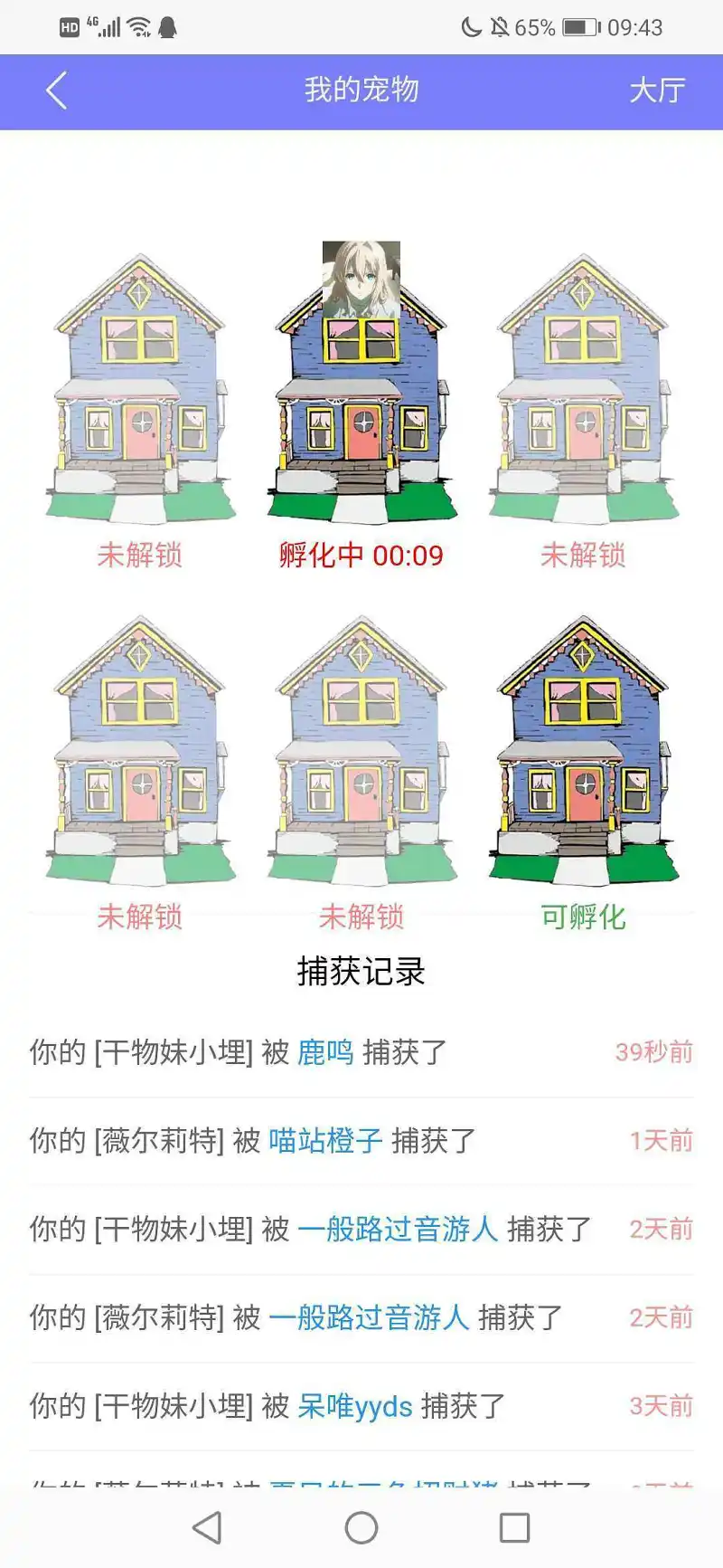 闲聊茶馆,宠物