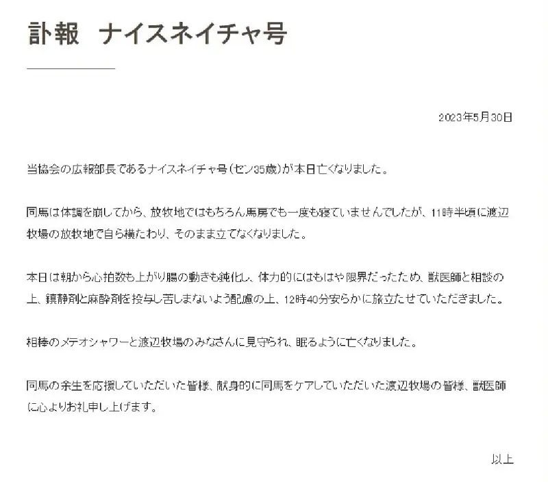 【优秀素质/ナイスネイチャ】优秀素质离世