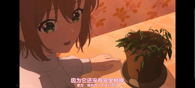 与你相恋到生命尽头,与你相恋到世界尽头,只愿深入爱河直至你逝去,百合,动画,动漫,番剧,日漫,ACG,二次元