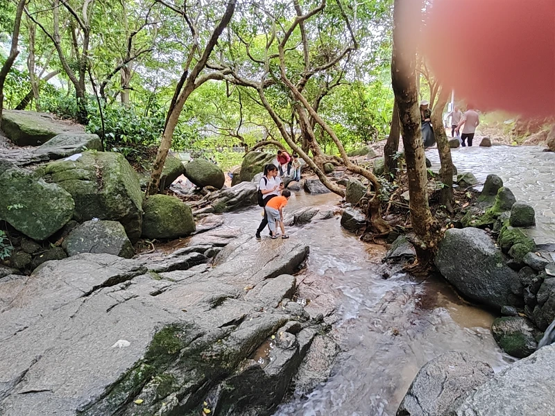 登山,阳台山,羊台叠翠