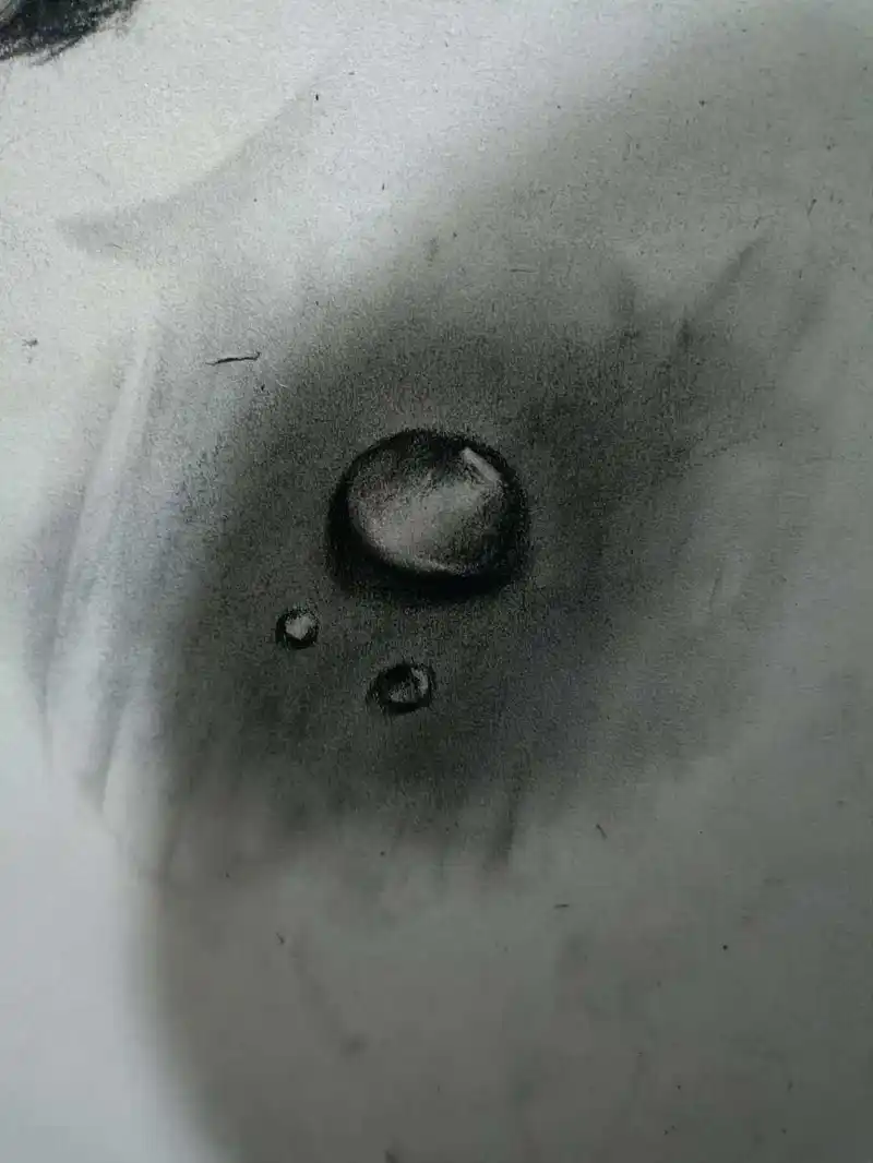 绘画创作,新人,素描