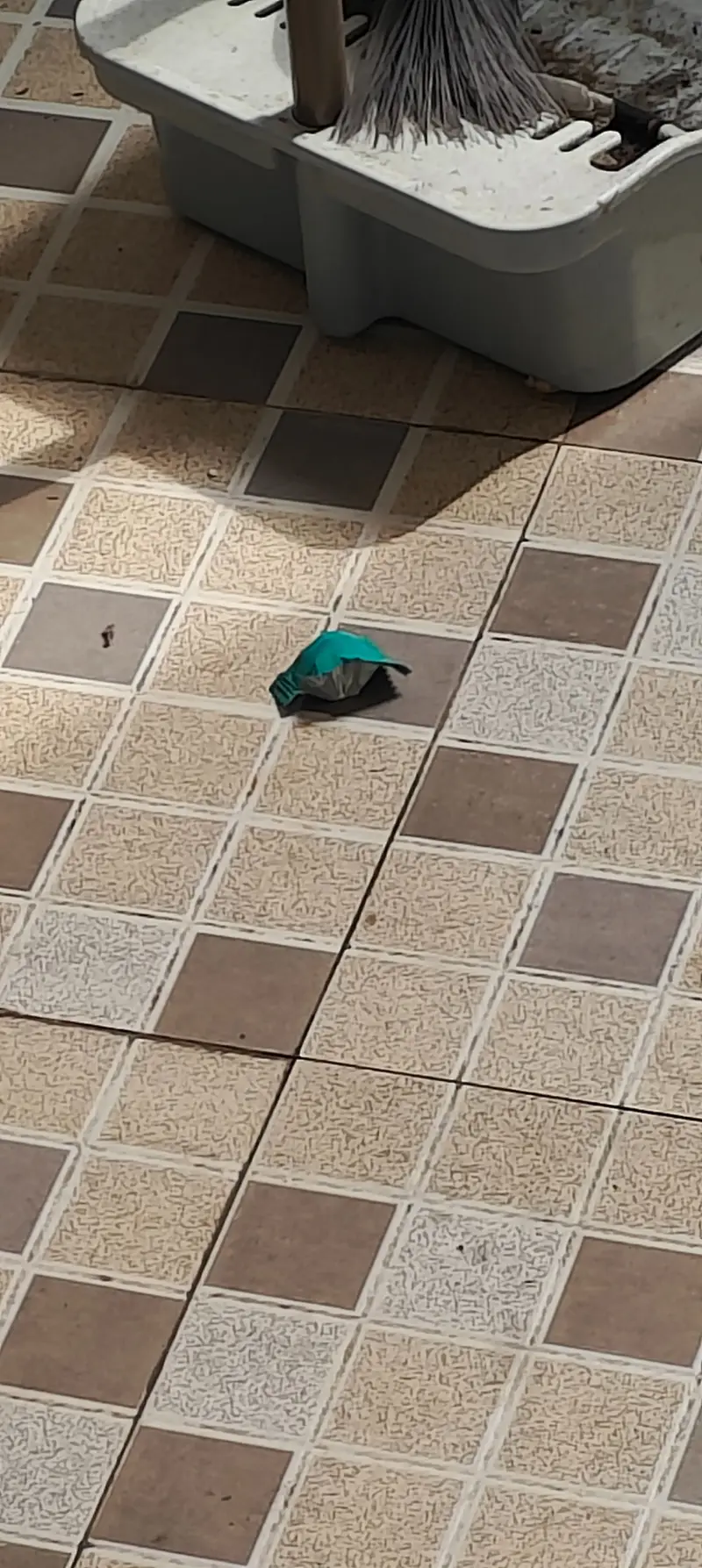 我去！miku!