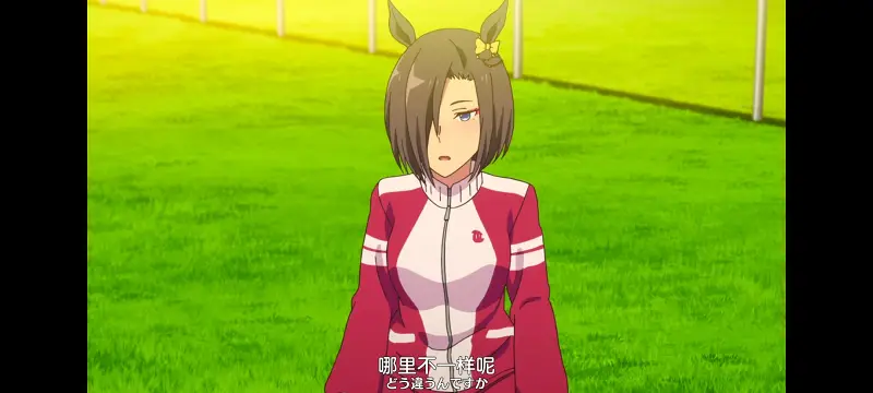 赛马娘,赛马娘PrettyDreby,动画,动漫,番剧,ACG
