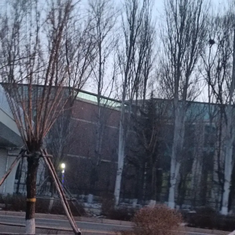 学校