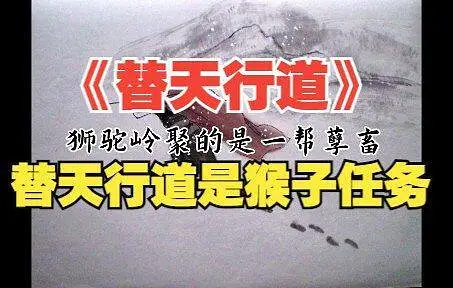 《替天行道》