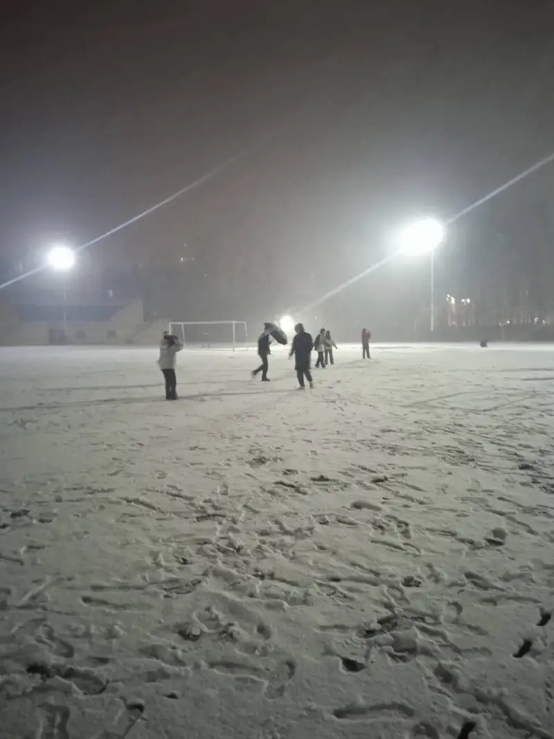 喜看落雪