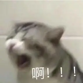 悲报