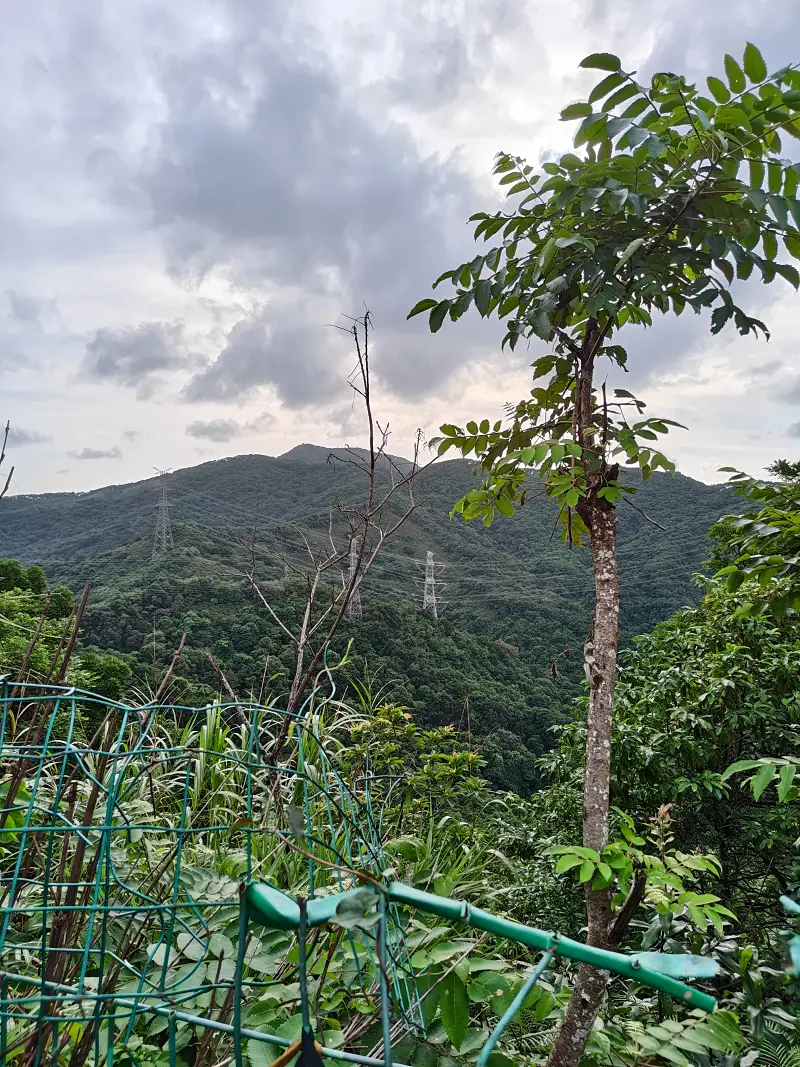 登山,阳台山,羊台叠翠