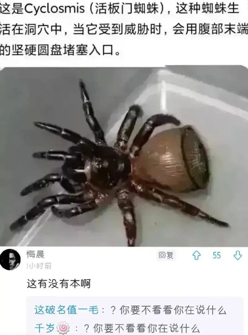 闲聊茶馆,弔图