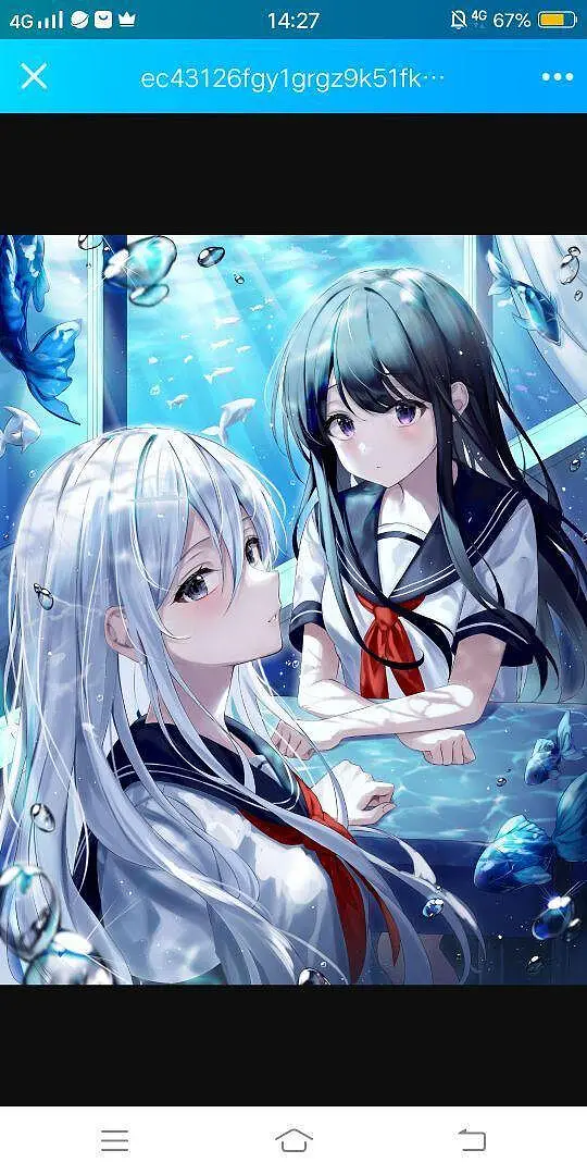 M站美图,美图