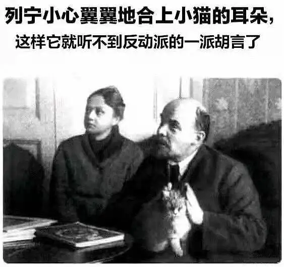 闲聊茶馆,动漫,美女,宠物