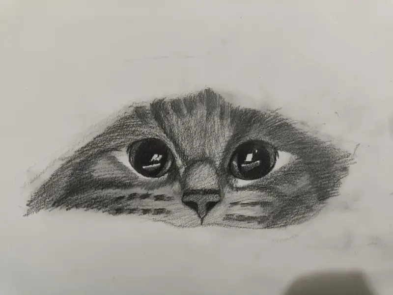 画画