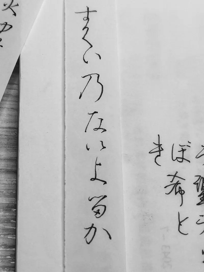一些手稿