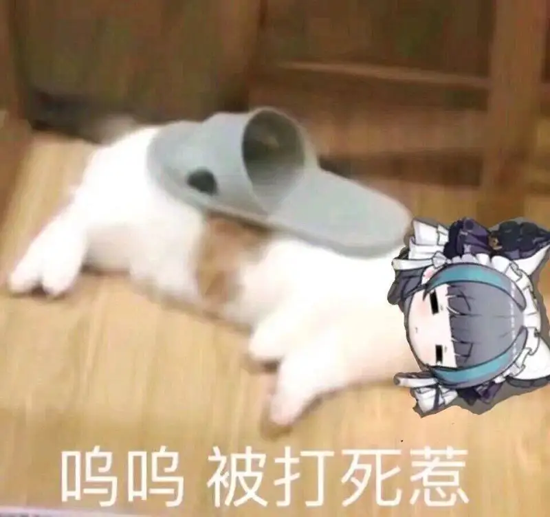 闲聊茶馆,宠物