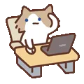 表情包,月薪喵,猫咪表情包,猫meme,哈基米