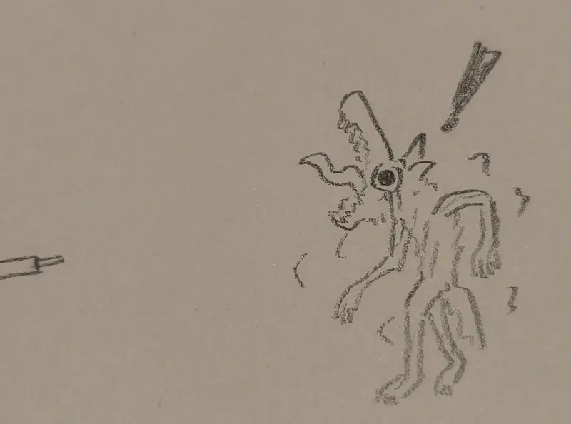 狼