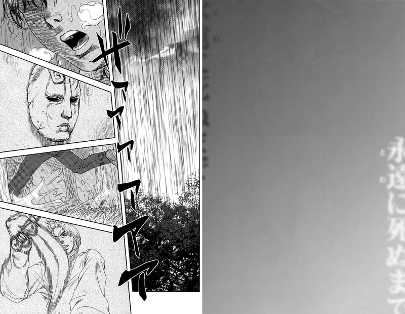 漫画,jojo,The Complete,永遠に死ぬまで,乔纳森,迪奥,石鬼面,JOJO的奇妙冒险,ジョジョの奇妙な冒険,JoJos Bizarre Adventure