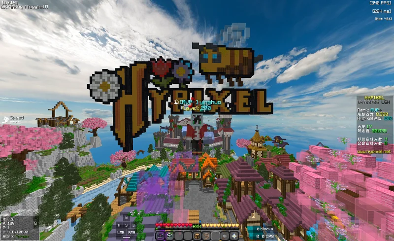 Hypixel再见!